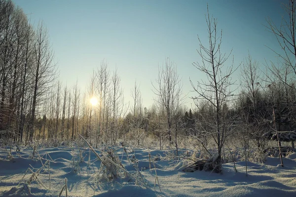 Natureza inverno paisagem — Fotografia de Stock