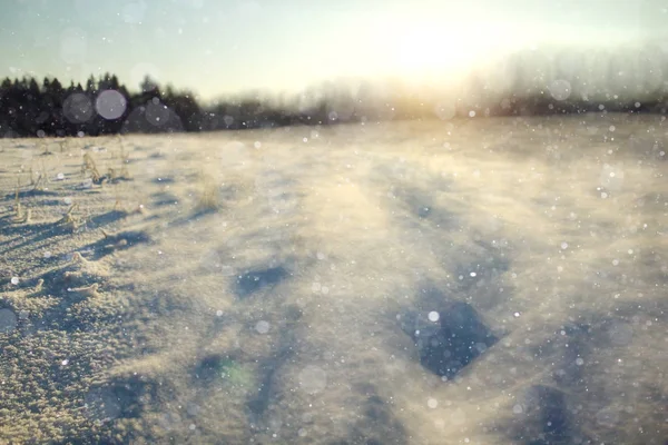 Fundo de inverno com flocos de neve — Fotografia de Stock