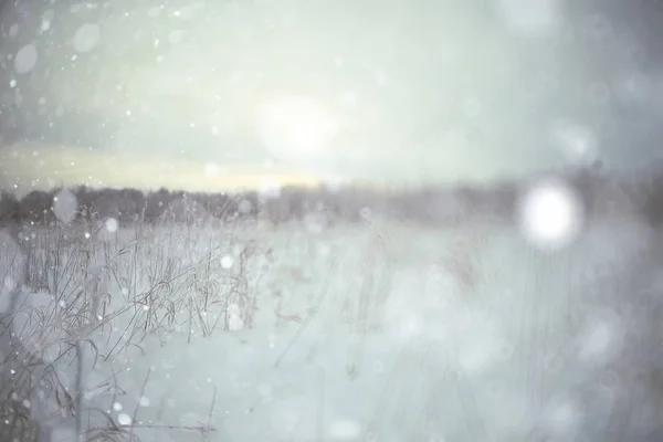 Campo de invierno bajo nieve — Foto de Stock