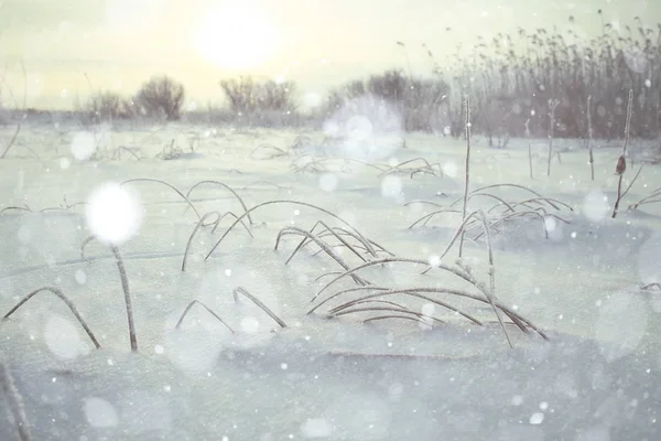 Nieve en el paisaje invernal — Foto de Stock