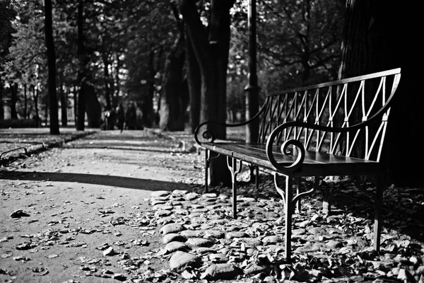 Bench in autumn park — Stock Photo, Image