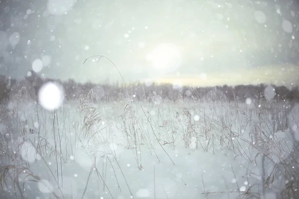 Neve na paisagem de inverno — Fotografia de Stock