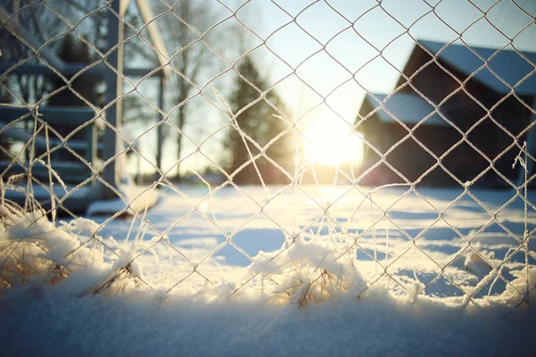 Φύση χειμώνα Frosty πρωί — Φωτογραφία Αρχείου