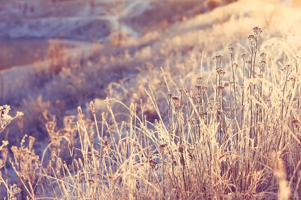 Ijzig winter ochtend natuur — Stockfoto