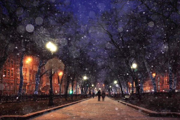 Зима вночі в парку — стокове фото
