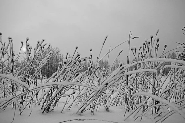 Paisagem de inverno na Rússia — Fotografia de Stock