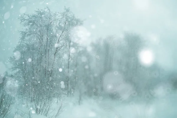 Winter forest under snow — Stock Photo, Image