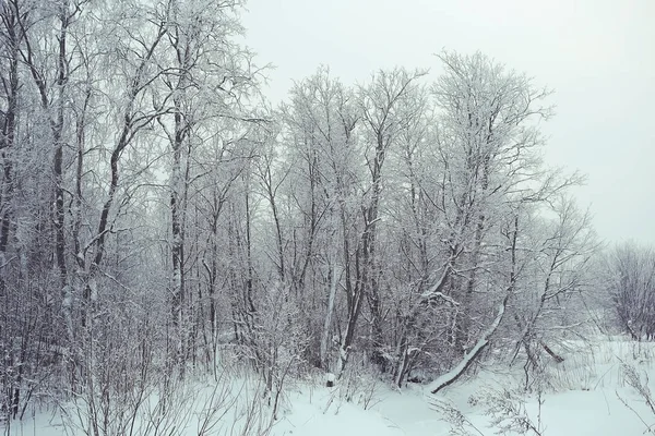 Besneeuwde winterlandschap — Stockfoto