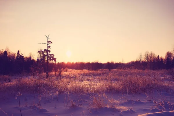 Winterlandschap op het platteland — Stockfoto