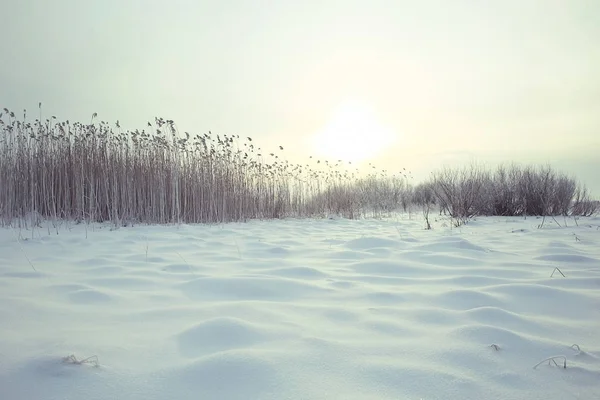 Zimní krajina v Rusku — Stock fotografie