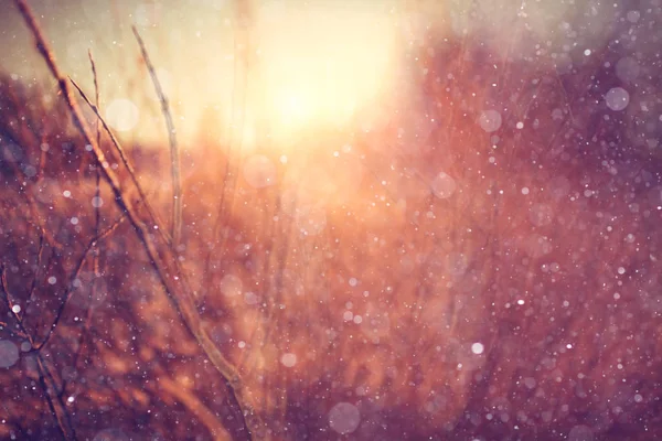 Paesaggio invernale soleggiato durante il giorno — Foto Stock