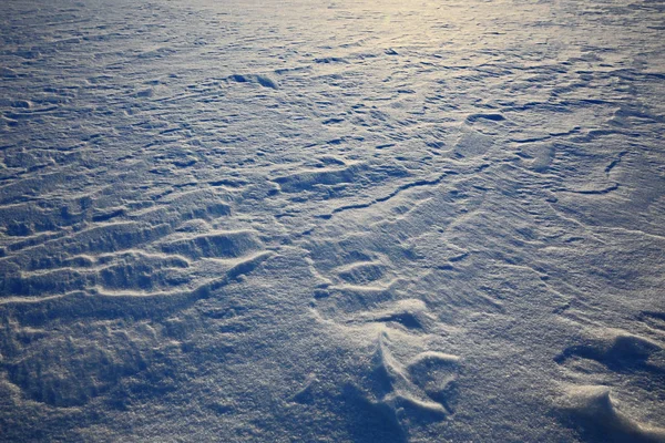 白い雪のテクスチャ — ストック写真