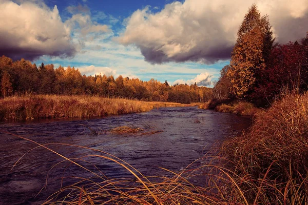 Outono Floresta paisagem fluvial — Fotografia de Stock