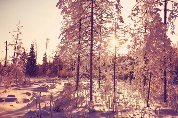 Niesamowity krajobraz zimowy — Zdjęcie stockowe
