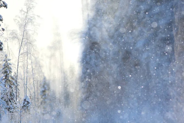 Paisaje de invierno con copos de nieve — Foto de Stock
