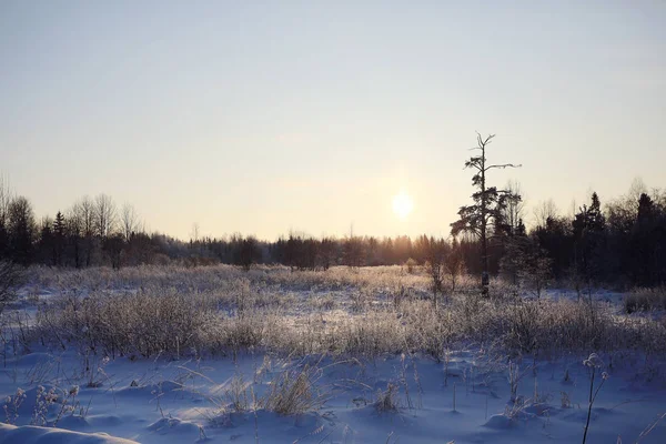 Winterlandschap op het platteland — Stockfoto