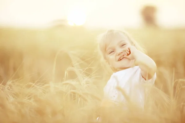 Liten flicka i fält — Stockfoto