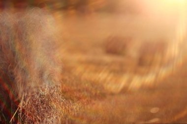 bir alandaki haystacks peyzaj