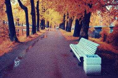 Şehir parkında sonbahar