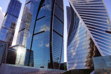 Modern gökdelenler bölge