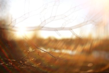 Sonbahar manzara bulanık