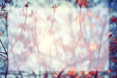 Şehir Parkı ağaçlarda bahar