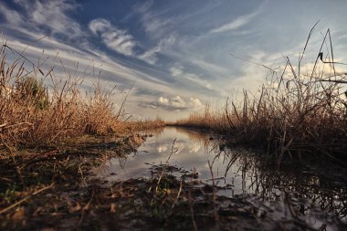 Sonbahar manzara bulanık