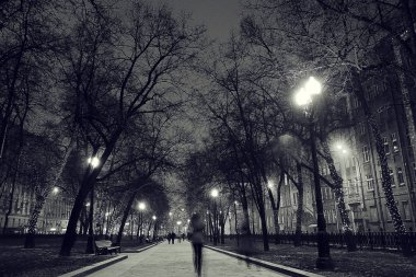 kış gece parkta