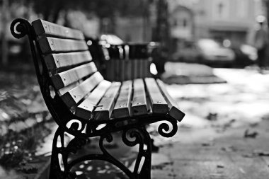 Sonbahar parkında tezgah.