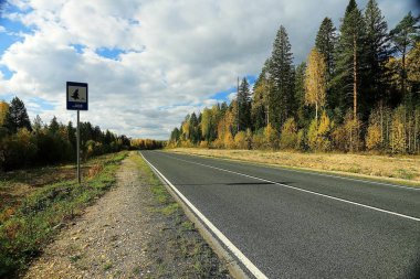 Sonbahar manzara otoyol