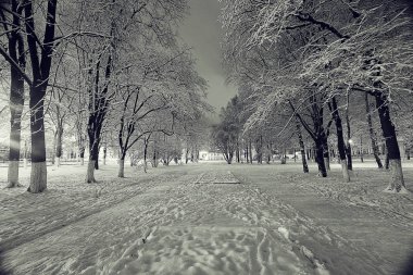 Kış gecesi manzarası
