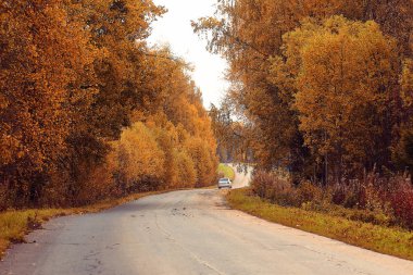 Sonbahar manzara otoyol