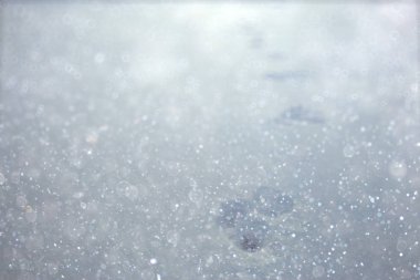 Kasvetli karlı kış 