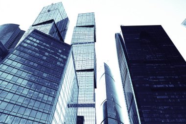 Modern gökdelenler bölge