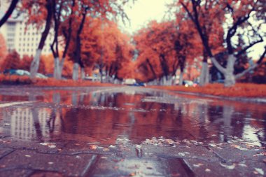 Şehir parkında sonbahar