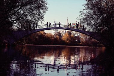 Şehir parkında sonbahar