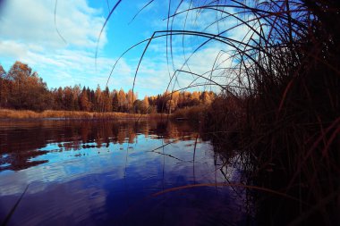 Sonbahar orman nehir manzara