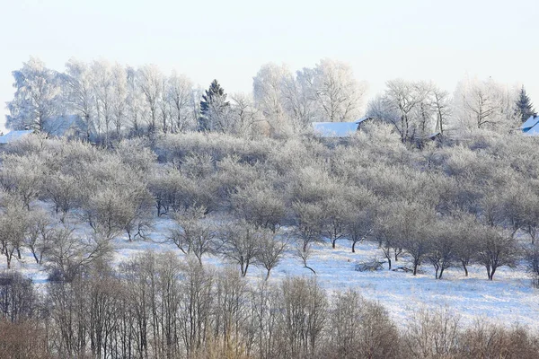 Vinter natur i frost — Stockfoto