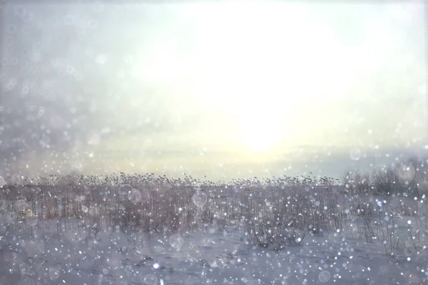 Düsterer, schneereicher Winter — Stockfoto