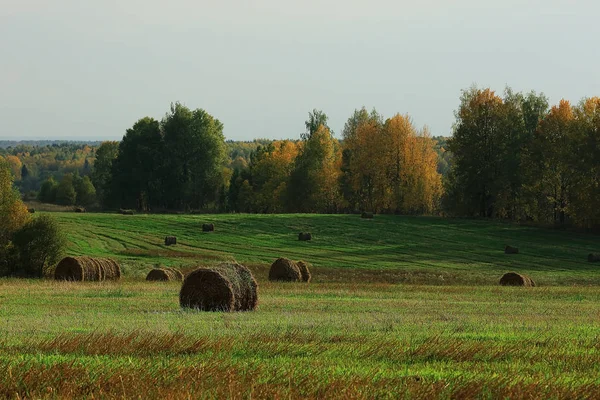 Paisaje de pajar en un campo —  Fotos de Stock