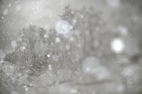 Inverno nevado sombrio — Fotografia de Stock