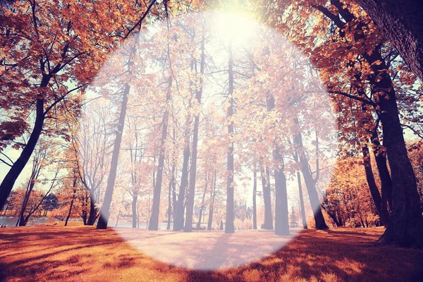 Осенний парк в день — стоковое фото