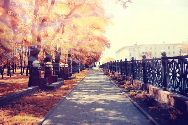 Herfst steegje in park met bomen — Stockfoto