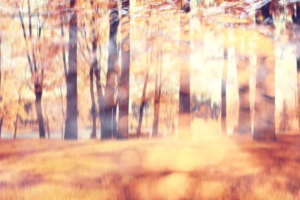 Parque de otoño en el día — Foto de Stock