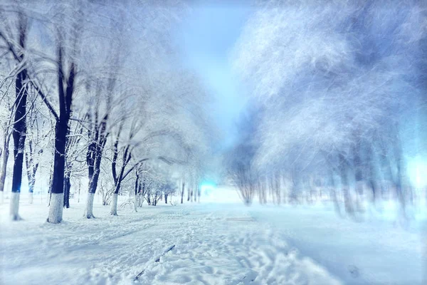 Kar taneleriyle kış arkaplanı — Stok fotoğraf