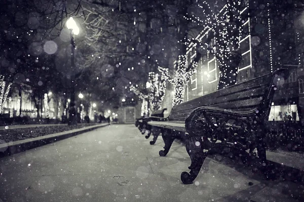 Winter at night in the park — Stock Photo, Image