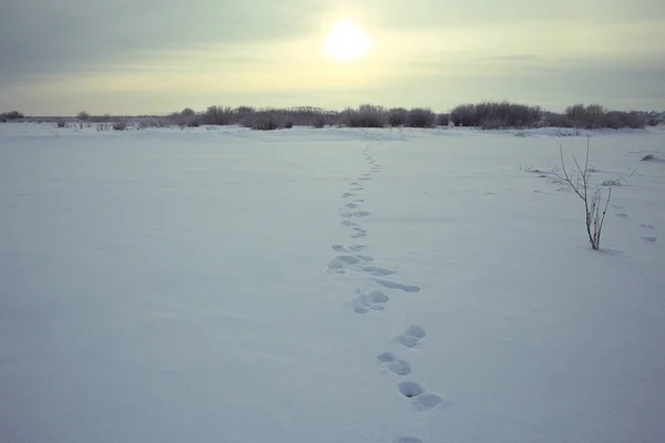 Karlı kış yolda parça — Stok fotoğraf