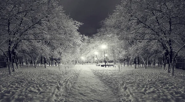 Зимой в парке — стоковое фото