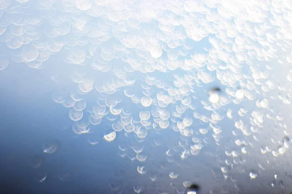 Light bokeh drops on glass — Stock Photo, Image