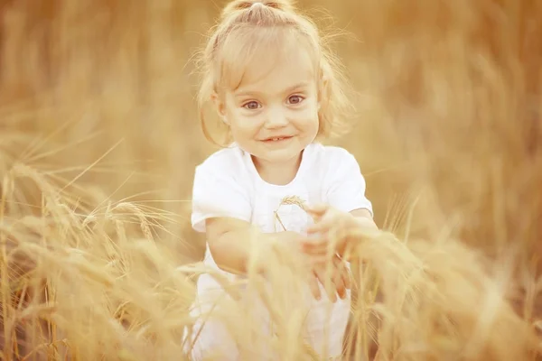 Mała dziewczynka na polu. — Zdjęcie stockowe